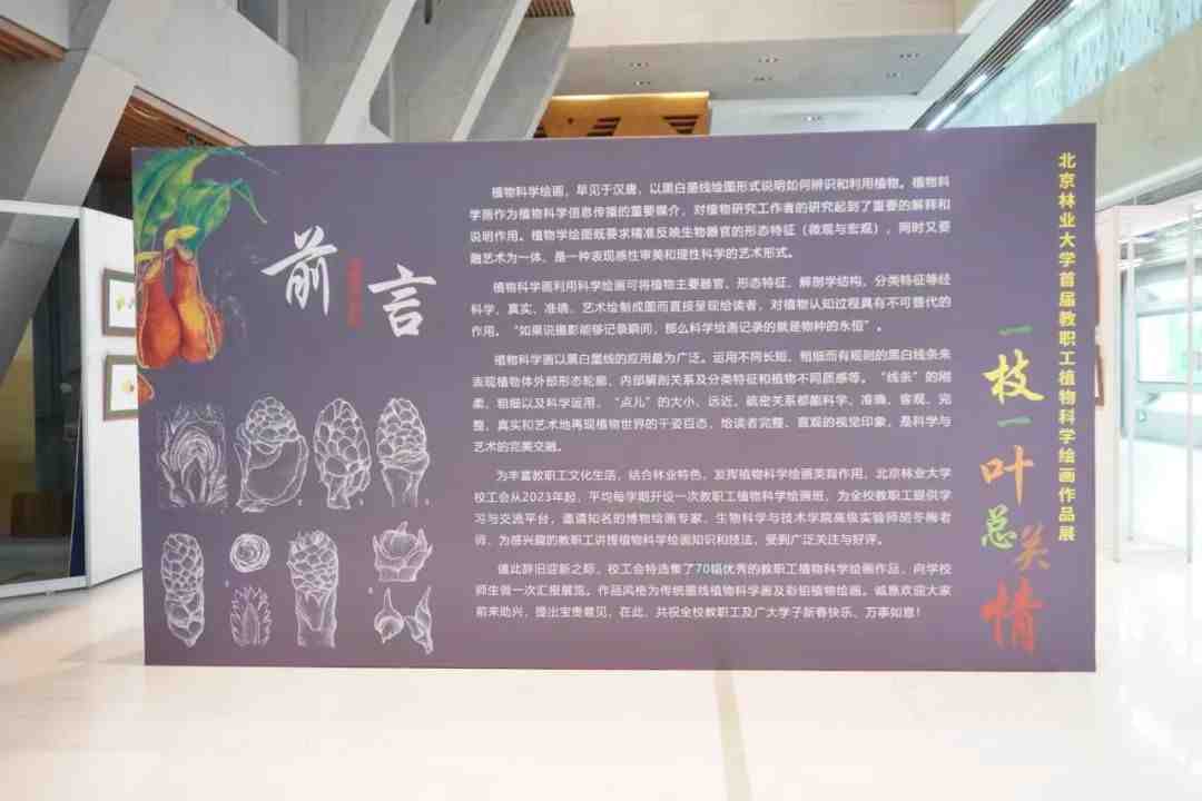 640.jpg