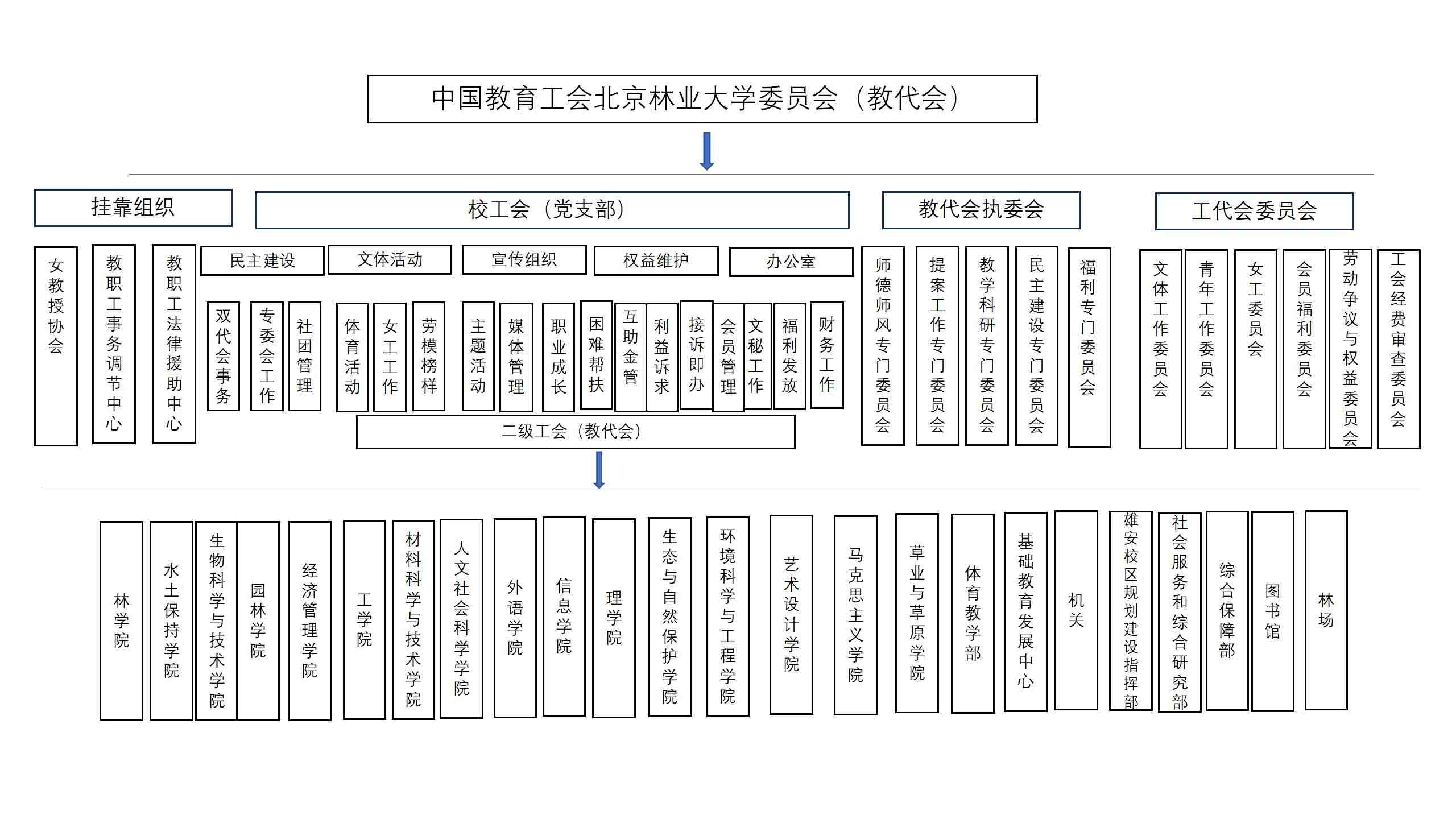 校工会组织机构图_01.jpg